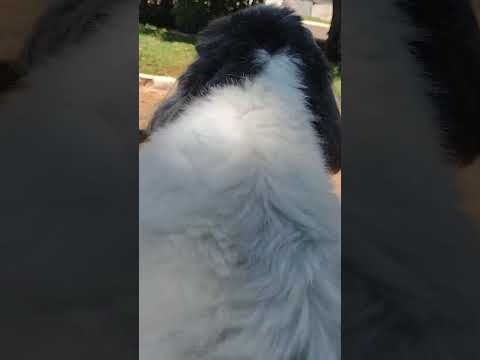 PRAÇA DO SANTUÁRIO LUZ MINAS GERAIS 🙏🙏