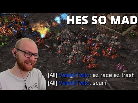 Zerg Player Gets VERY Angry vs Penguin Brothers