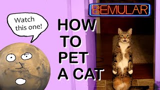 Bemular - HOW TO PET A CAT (Educational song for kids AND adults!)