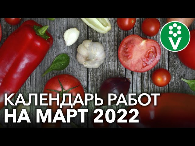 НЕ УПУСТИТЕ ВРЕМЯ! Что посеять в марте, а также важные работы в саду и цветнике