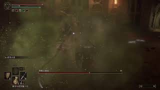 王様になったるでー！デミなんちゃらをしばく旅！#6