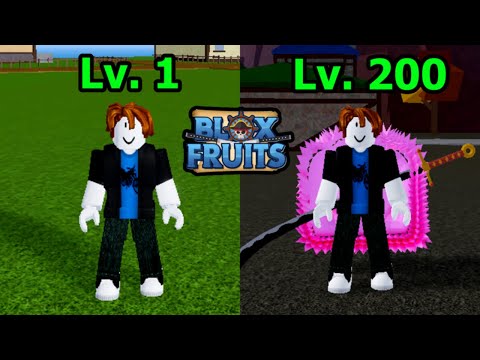 Blox fruits Level 1  To level 200 In One Video Full Guide