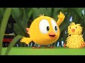 THE GARDEN | Where's Chicky? Funny Chicky | Cartoon Collection in English for Kids | New episodes