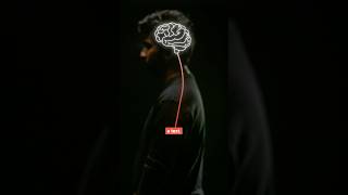 Meta's Brain2qwerty converts your brain signals into a text