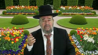 ויגש – איך נשתחרר מהעבר – הרב דוד הכהן הרב הראשי גן יבנה