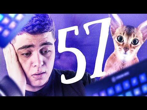 MON CHAT A DÉTRUIT MON SETUP ! BEST OF KOTEI & KAMETO #57