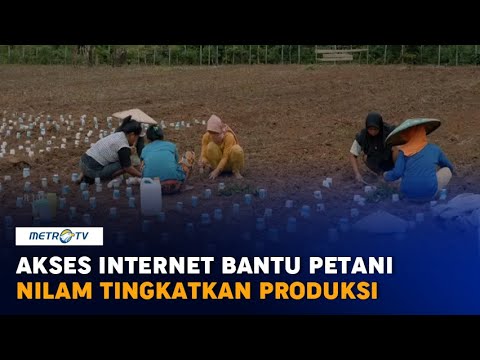 , title : 'Akses Internet Bantu Petani Nilam Tingkatkan Produksi'