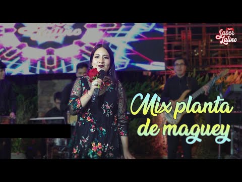 Orquesta Sabor Latino - Mix Planta de Maguey / Desde lejos te estoy viendo