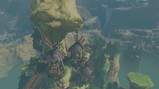 下手くそティアキン！無口なリンクとおしゃべりnaoh「ゼルダの伝説TEARS of the KINGDOM」