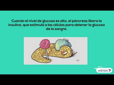 sistema endocrino tec