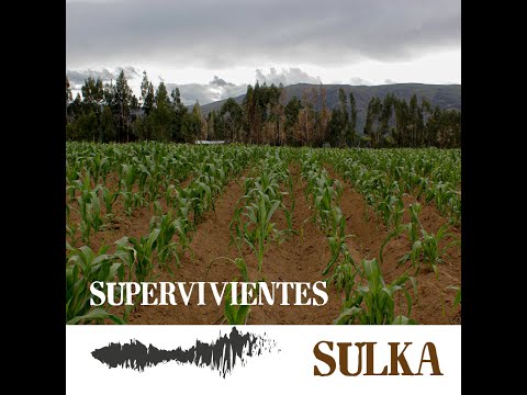 Sulka - Supervivientes (Official Audio)
