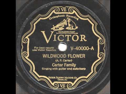 Wildwood Flower ~ Carter Family (1929)