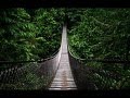 Forest Hymn - Deep Forest 