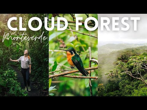 Full Guide to Monteverde Cloud Forest, Costa Rica - Best Things To Do (VLOG 55)