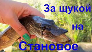 Рыбалка на реке становая ряса