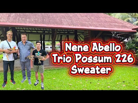 Nene Abello Possum Sweater 226 Trio 