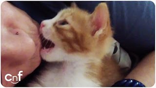 She needs goodnight kisses