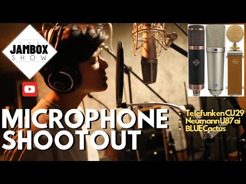 Blue Cactus Multi-Pattern Tube Condenser Mic 2010s - Tan image 10