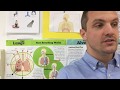 Updated Oral presentation the respiratory system, Video Respiratory System Ppt most searching!