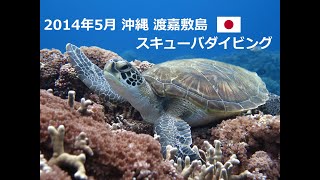 preview picture of video '20140504-06 渡嘉敷島 Scuba Diving Tokashiki Island Japan'