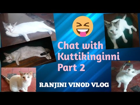 Chat with Kuttikinginni🐈 Part2/Vlog 72