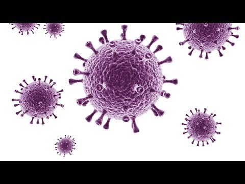 Papillomavirus humains oncogenes positive