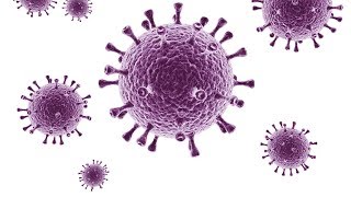 Cat traieste pe suprafete virusul gripal, HPV, HTLV si HIV?