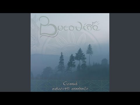 Strasnic Neamul Meu - Bucovina
