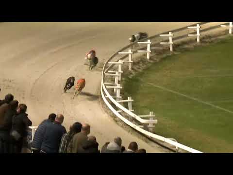 2022.10.14. 07. futam - Kölyök Derby Elődöntő II.