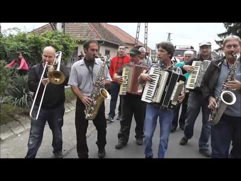 Szüreti Felvonulás Tápiószecsőn