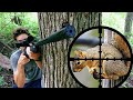 Scope Cam Squirrel Hunting with Gamo Air Rifle