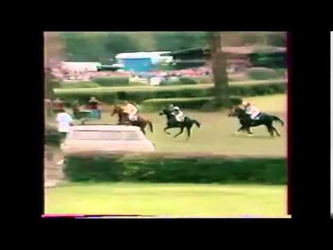 99. Velká pardubická steeplechase - 1989