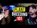 The Basics of Plant Breeding! How To Breed Plants! (Garden Talk #23)
