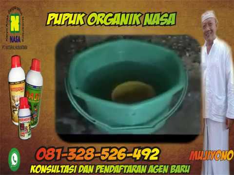 Bagaimana membangkitkan Wanita selama pijat Obat untuk meningkatkan potensi dan penis pembesaran