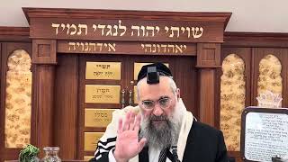 האם מברכים ברכה אחרונה על פרי שלם שאין בו כזית (הרב יצחק ישראלי) - התמונה מוצגת ישירות מתוך אתר האינטרנט יוטיוב. זכויות היוצרים בתמונה שייכות ליוצרה. קישור קרדיט למקור התוכן נמצא בתוך דף הסרטון