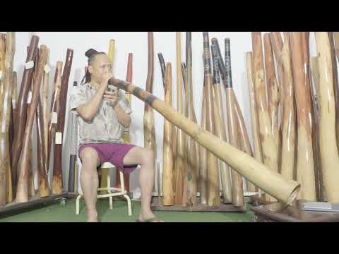 Jesse lethbridge Didgeridoo Key of D Web code 7930