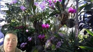 Amazing Tropical Plant Displays at The Missouri Botanical Garden Orchid Show Plant Haul of Course