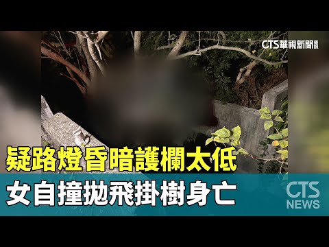 疑路燈昏暗護欄太低　女自撞拋飛掛樹身亡