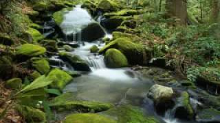 FRANCK POURCEL "Matandome suavemente con su cancion"