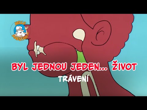 Byl jednou jeden... život 🌱 Trávení 🥡