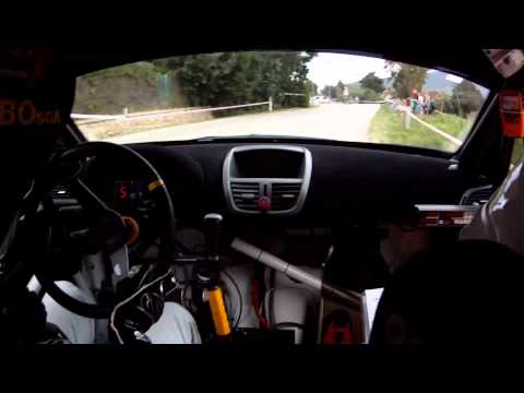 Camera car 1° RALLY ELBA INTERNAZIONALE Gatti -Toni  Peugeot 207 S2000