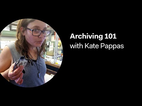 Running Free: Archiving 101 with Kate Pappas