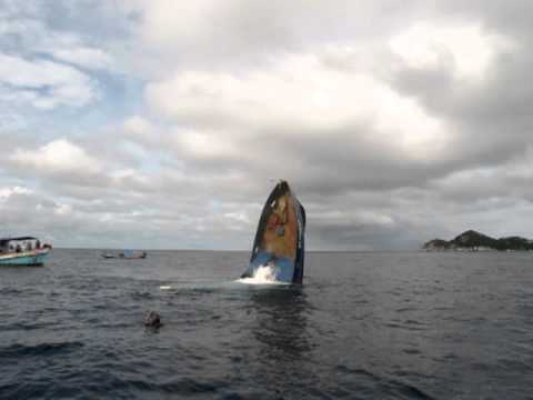 The sinking of MV Trident