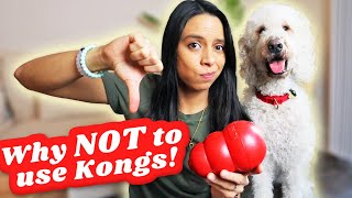 Most DANGEROUS Dog Toy?! 👎 How you SHOULD NEVER use a kong, seriously! 😱