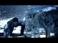 teen wolf scott's alpha howl!