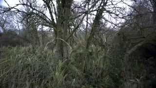 Mister Me - Nackt (Trailer)