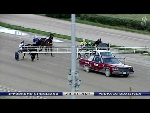 Aversa trotto 23 Gennaio 2021 - Prova di qualifica