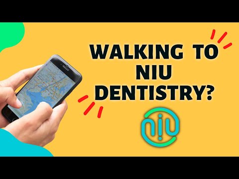 NIU Denstistry - Los Algodones Dentist