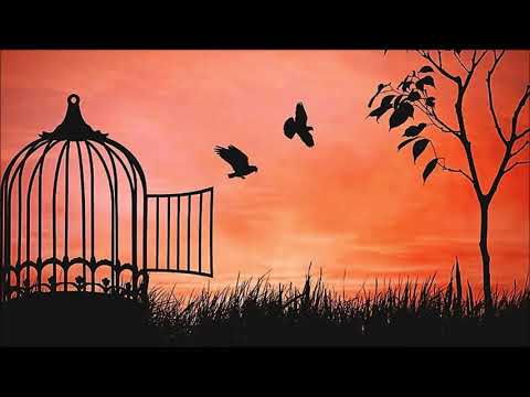 Talk Talk - Wealth (Spirit of Eden-1988)