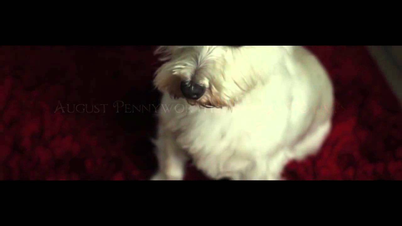 27, Memory Lane - Trailer (2014)